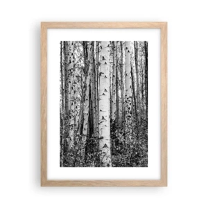 Póster en marco roble claro - Columnas de abedules - 30x40 cm