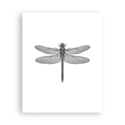 Póster - Precisión de la naturaleza - 40x50 cm