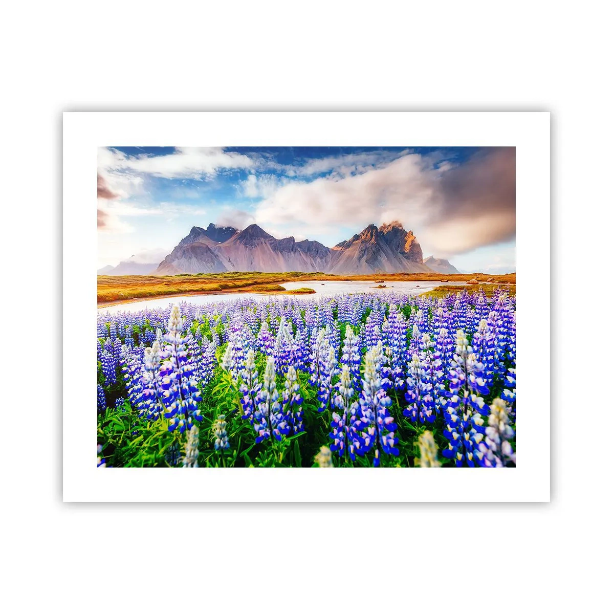 Póster - La fuerza y la severidad junto a la dulzura - 50x40 cm