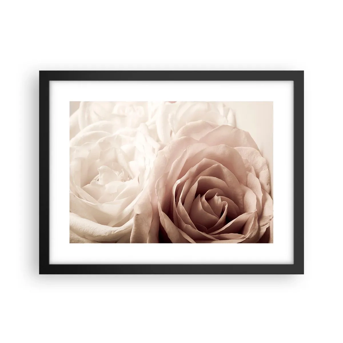 Póster en marco negro - En el corazón de una rosa - 40x30 cm