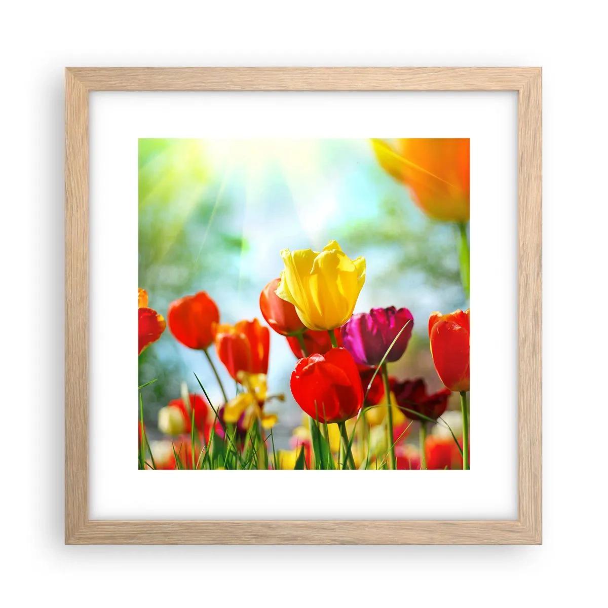 Póster en marco roble claro - Todos los tonos del sol - 30x30 cm