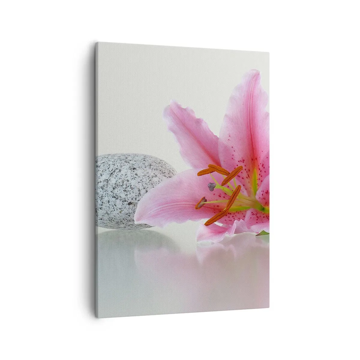 Cuadro sobre lienzo - Impresión de Imagen - Flor de lirio rosa con piedras sobre un fondo claro. - 50x70cm - Estudio en rosa, gris y blanco - Decoración de pared moderna para salón y dormitorio ARTTOR