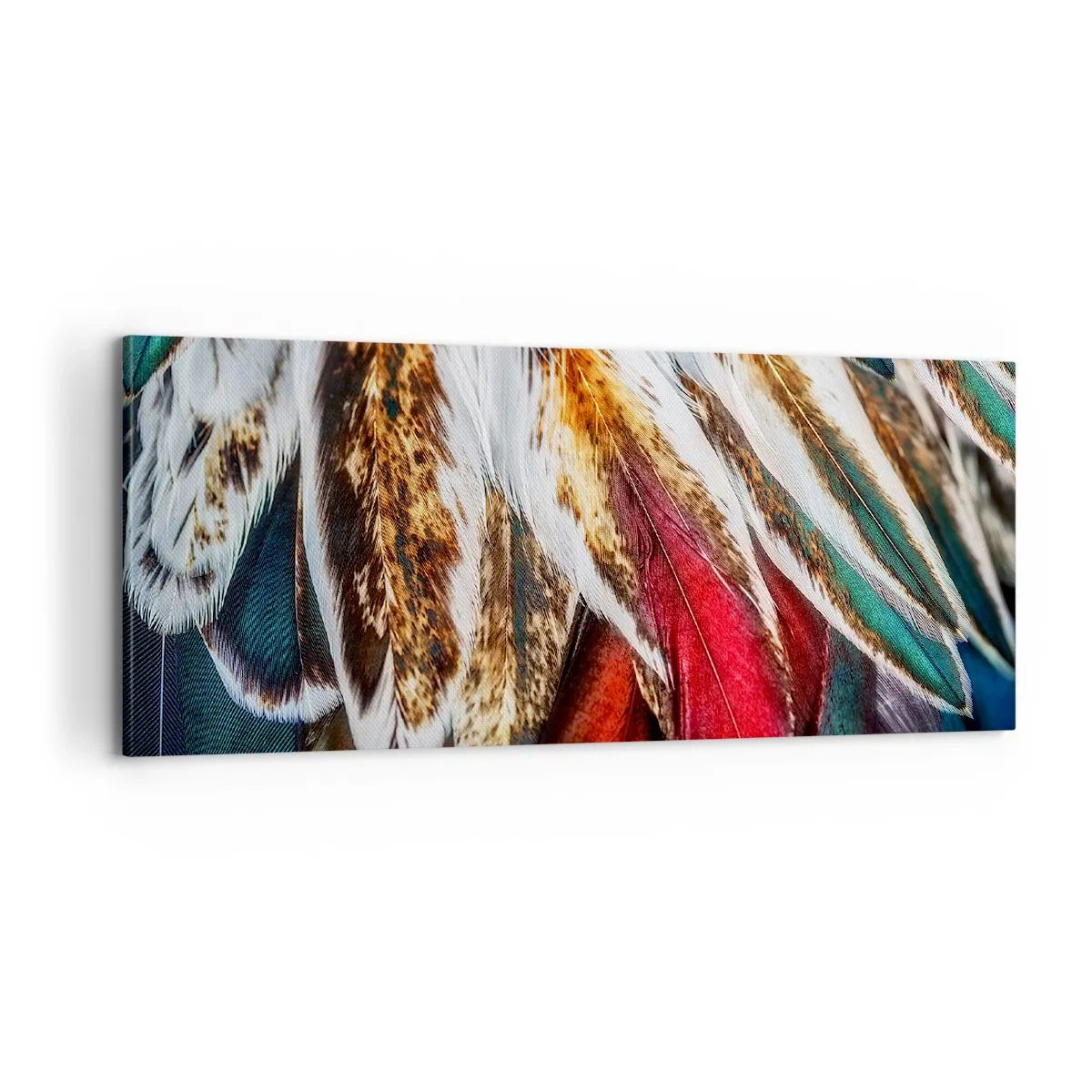 Cuadro sobre lienzo - Impresión de Imagen - Los misterios del vuelo - 100x40 cm