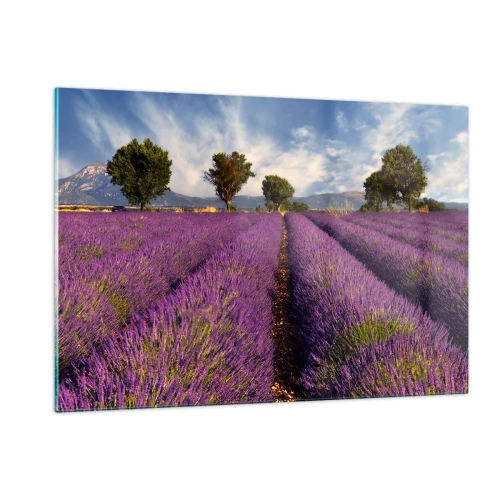 Cuadro sobre vidrio - Impresiones sobre Vidrio - Un campo de lavanda con árboles y un fondo de montañas. - 120x80cm - Campos de lavanda - Decoración de pared moderna para salón y dormitorio ARTTOR