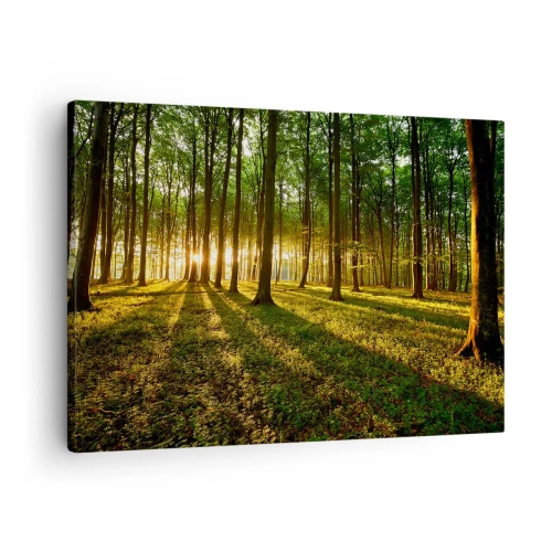 Cuadro sobre lienzo - Impresión de Imagen - El sol poniente en el bosque caducifolio - 70x50cm - Una fotografía de todos los manantiales - Decoración de pared moderna para salón y dormitorio ARTTOR