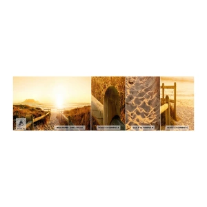 Muestra De Fotomural Standard Eco - A través de la duna, hacia el sol - Paisaje, Playa, Atardecer - 100x30 cm