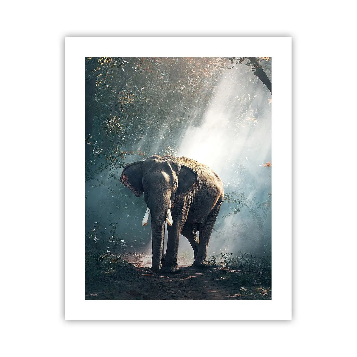 Póster - Un paseo tranquilo - 40x50 cm