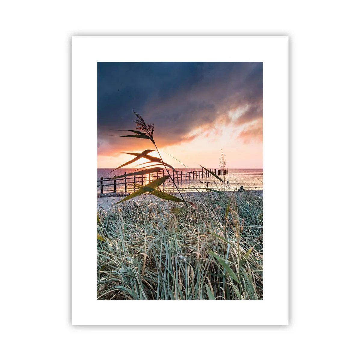 Póster - Bailando con el viento - 30x40 cm