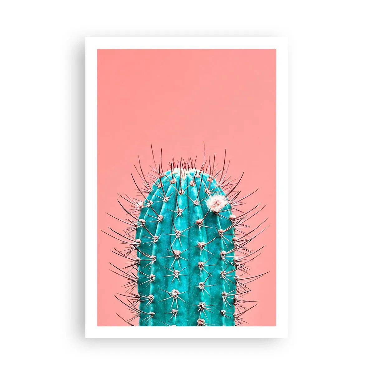 Póster - Se mira, pero no se toca - 61x91 cm