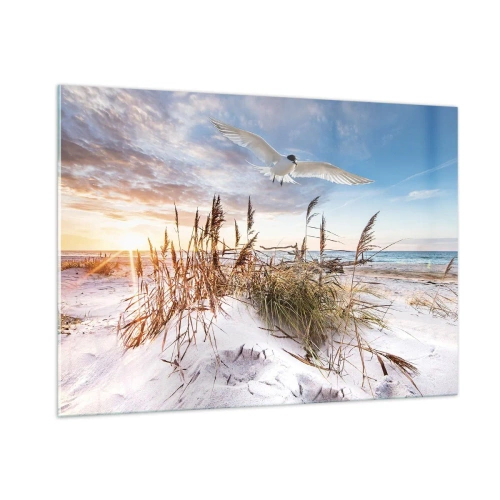 Cuadro sobre vidrio - Impresiones sobre Vidrio - Un pájaro volando sobre las dunas al atardecer. - 100x70cm - Viento del mar - Decoración de pared moderna para salón y dormitorio ARTTOR