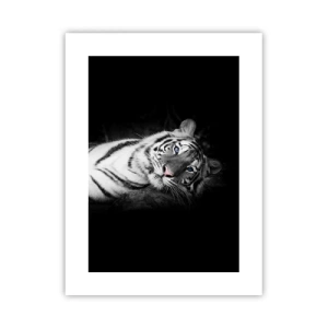 Póster - Salvaje y tranquilo - 30x40 cm