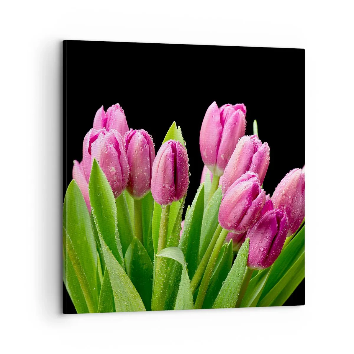 Cuadro sobre lienzo - Impresión de Imagen - La alegría de la primavera - 60x60 cm