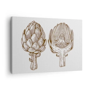 Cuadro sobre lienzo - Impresión de Imagen - Dibujo artístico vintage de una alcachofa - 70x50cm - Lección de anatomía - Decoración de pared moderna para salón y dormitorio ARTTOR