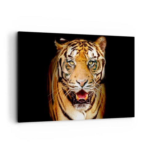 Cuadro sobre lienzo - Impresión de Imagen - Un tigre con la boca abierta sobre un fondo negro. - 120x80cm - Salvaje de corazón - Decoración de pared moderna para salón y dormitorio ARTTOR