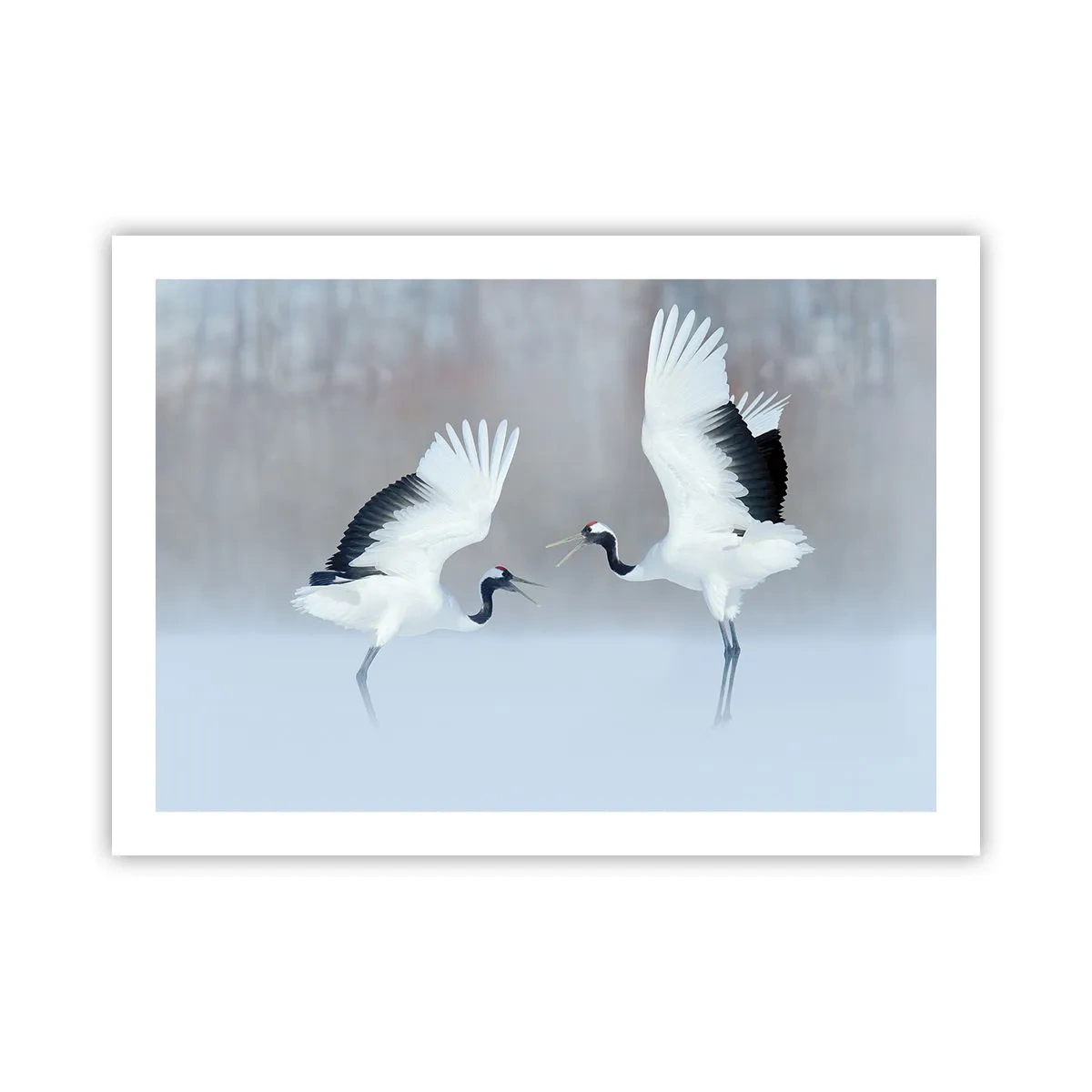 Póster - Danza en la niebla - 70x50 cm