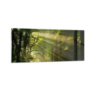 Cuadro sobre vidrio - Impresiones sobre Vidrio - Un momento en el bosque - 100x40 cm
