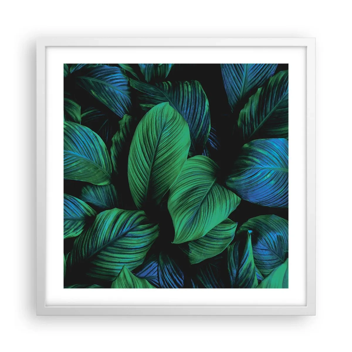 Póster en marco blanco - En la multitud verde - 50x50 cm