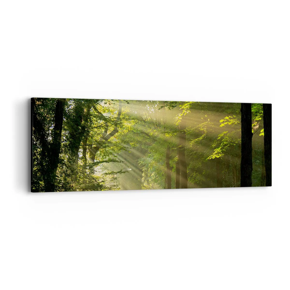 Cuadro sobre lienzo - Impresión de Imagen - Un momento en el bosque - 90x30 cm