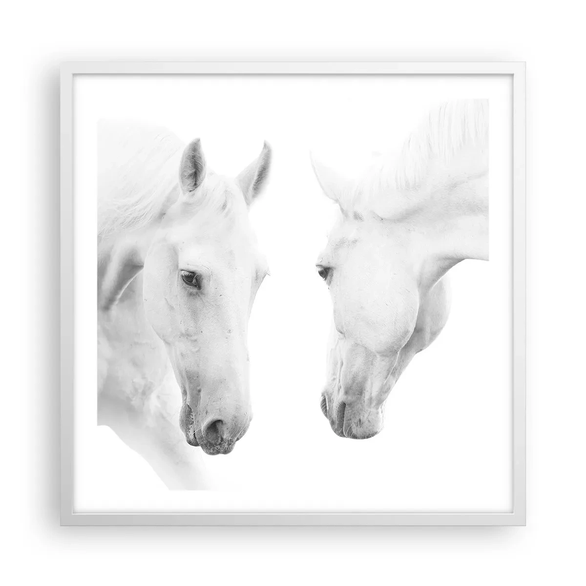 Póster en marco blanco - ¿Es esto realmente la amistad...? - 60x60 cm