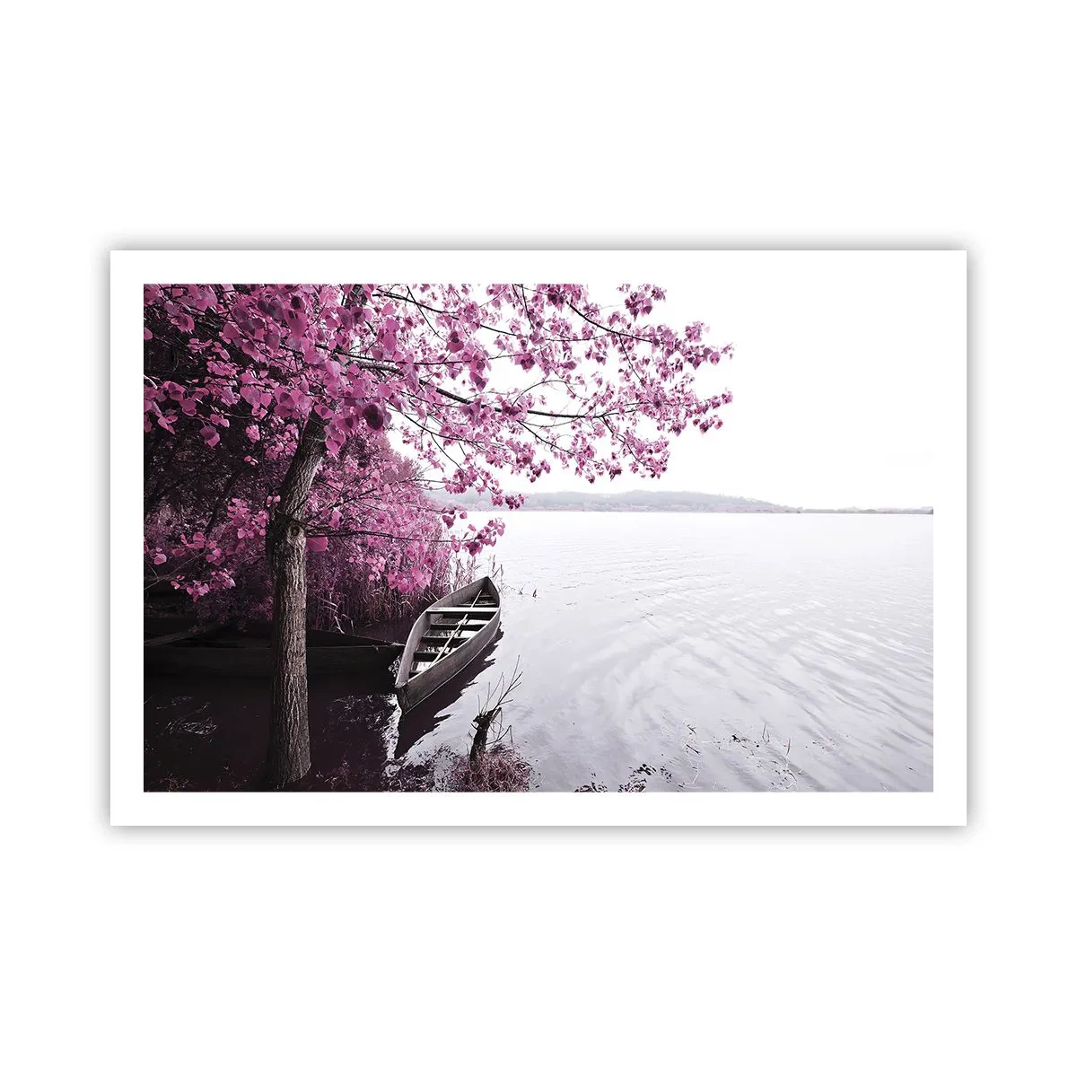 Póster - En el silencio rosa - 91x61 cm