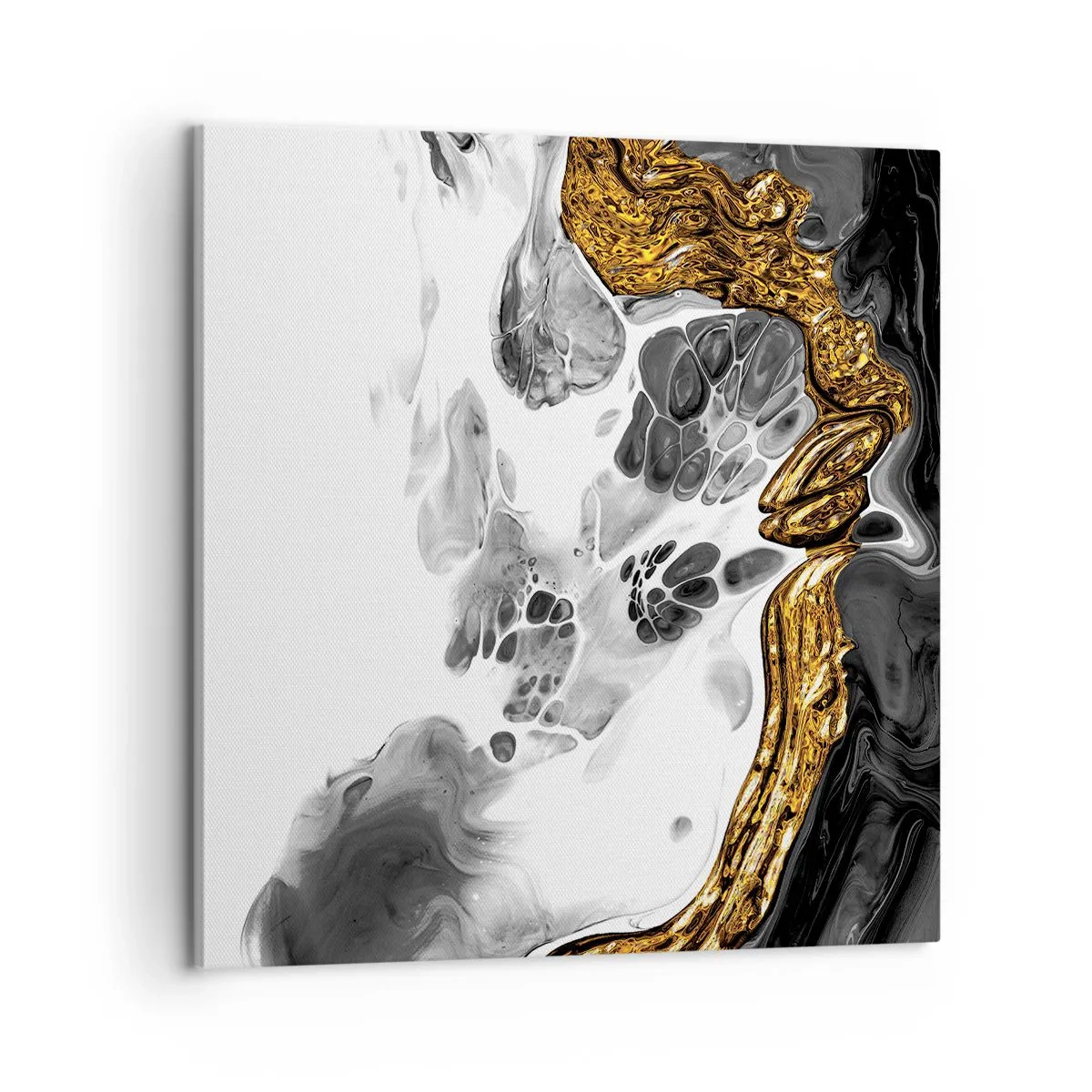 Cuadro sobre lienzo - Impresión de Imagen - Composición orgánica - 60x60 cm