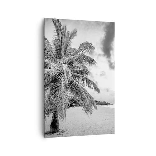 Cuadro sobre lienzo - Impresión de Imagen - Palmera en blanco y negro en una playa vacía con nubes - 80x120cm - Anhelo de soledad.... - Decoración de pared moderna para salón y dormitorio ARTTOR