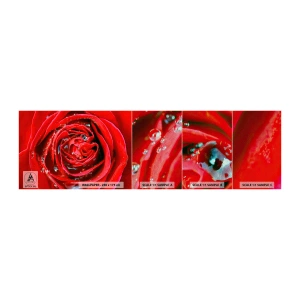 Muestra de fotomural Premium Sand - En gotas de rocío - flores, Rosa roja, Amar - 100x30 cm