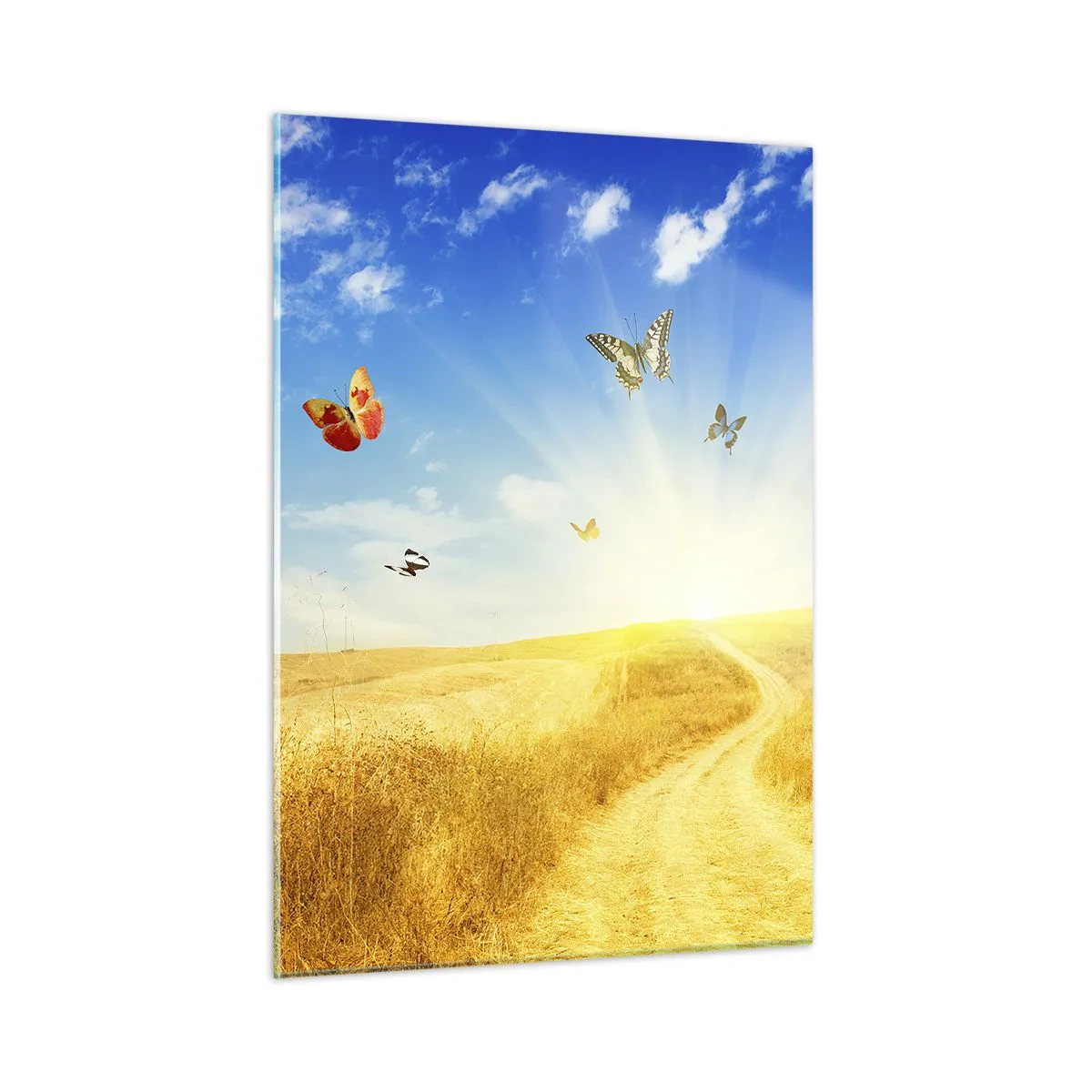 Cuadro sobre vidrio - Impresiones sobre Vidrio - Mariposas revoloteando sobre un camino de tierra al amanecer - 50x70cm - ¿Cómo no amar el verano? - Decoración de pared moderna para salón y dormitorio ARTTOR