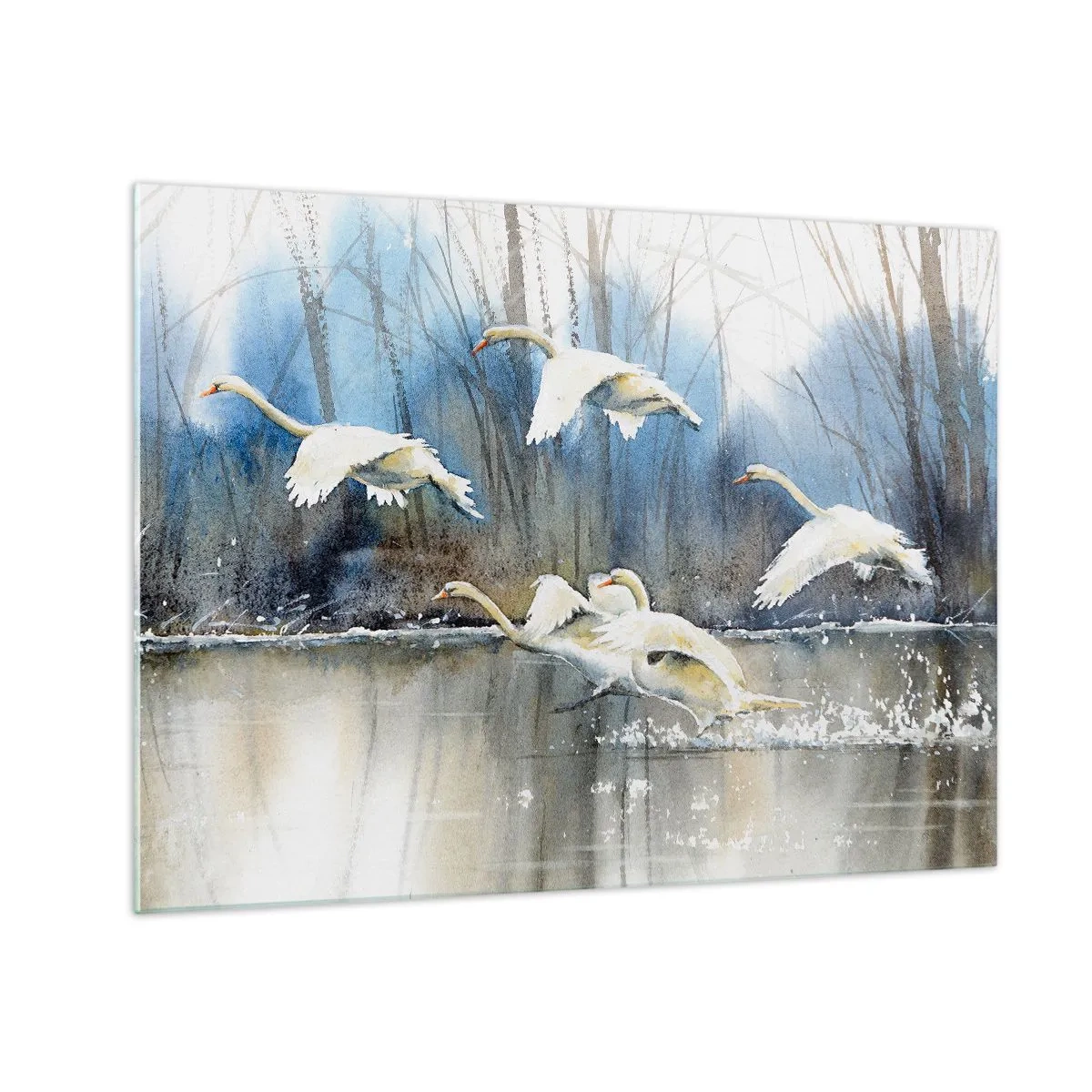 Cuadro sobre vidrio - Impresiones sobre Vidrio - Cisnes salvajes volando sobre un tranquilo lago del bosque - 70x50cm - Como en un cuento de cisnes salvajes - Decoración de pared moderna para salón y dormitorio ARTTOR
