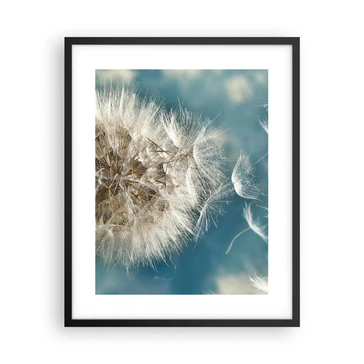 Póster en marco negro - El aliento de un ángel - 40x50 cm