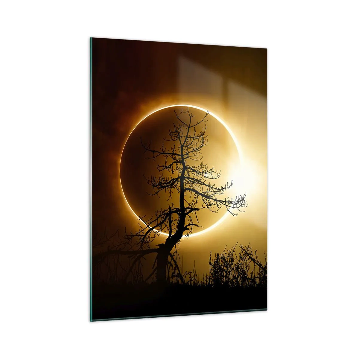 Cuadro sobre vidrio - Impresiones sobre Vidrio - Eclipse solar detrás del árbol. - 50x70cm - Eclipse total - Decoración de pared moderna para salón y dormitorio ARTTOR