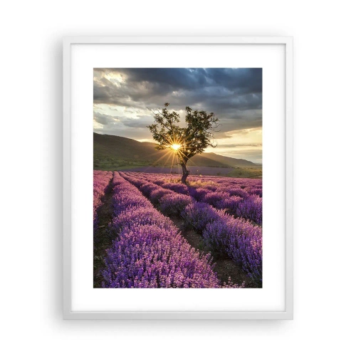 Póster en marco blanco - Aroma en lila - 40x50 cm