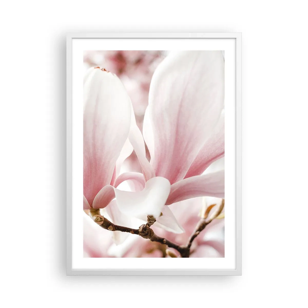 Póster en marco blanco - Inmensidad de la ternura - 50x70 cm