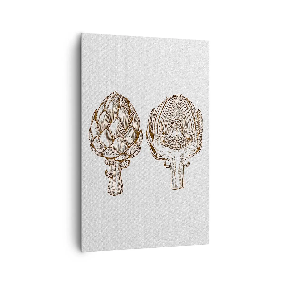 Cuadro sobre lienzo - Impresión de Imagen - Dibujo artístico vintage de una alcachofa - 80x120cm - Lección de anatomía - Decoración de pared moderna para salón y dormitorio ARTTOR