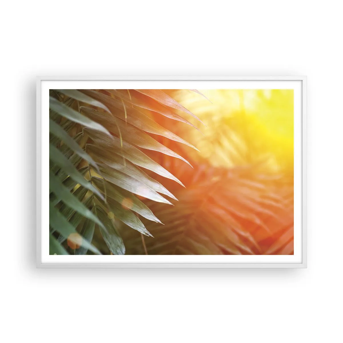 Póster en marco blanco - Mañana en la selva - 100x70 cm