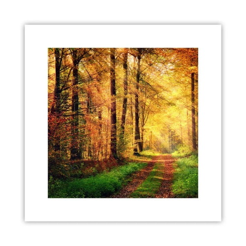 Póster - Silencio dorado del bosque - 30x30 cm