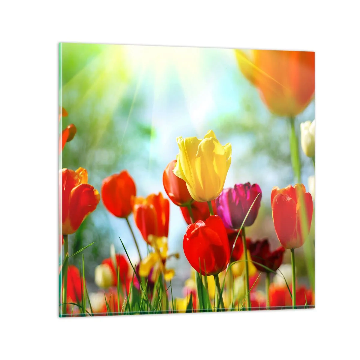 Cuadro sobre vidrio - Impresiones sobre Vidrio - Todos los tonos del sol - 60x60 cm