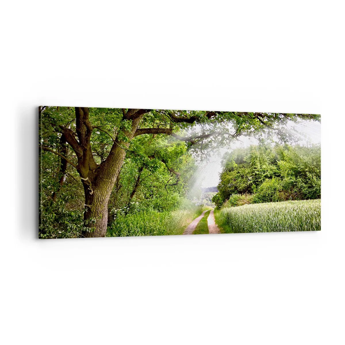 Cuadro sobre lienzo - Impresión de Imagen - Ensueño - 100x40 cm