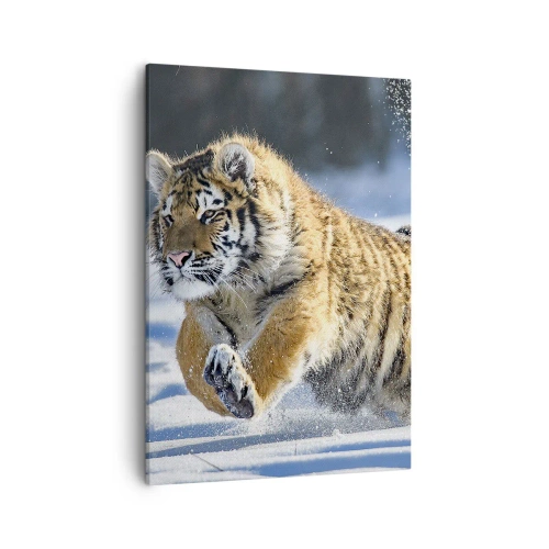 Cuadro sobre lienzo - Impresión de Imagen - Un tigre siberiano corriendo en un paisaje nevado. - 50x70cm - Dios de la taiga siberiana - Decoración de pared moderna para salón y dormitorio ARTTOR