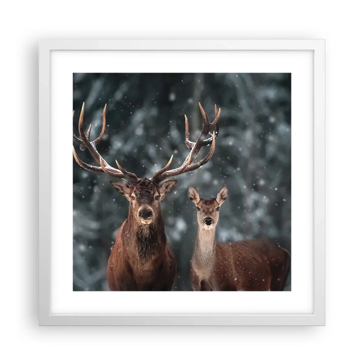 Póster en marco blanco - El señor y la señora del bosque - 40x40 cm