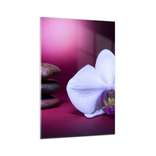 Cuadro sobre vidrio - Impresiones sobre Vidrio - Orquídea blanca y piedras sobre fondo rosa. - 70x100cm - Estudio de frescura en violeta - Decoración de pared moderna para salón y dormitorio ARTTOR