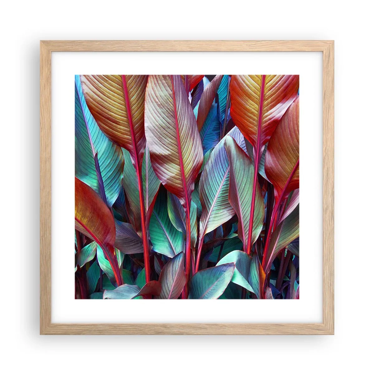 Póster en marco roble claro - Un matorral de colores - 40x40 cm