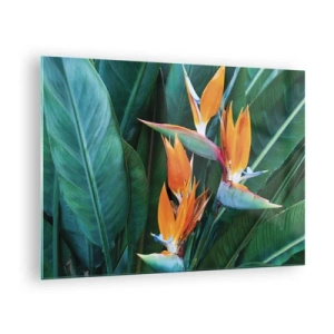 Cuadro sobre vidrio - Impresiones sobre Vidrio - Flores exóticas de strelitzia entre grandes hojas verdes. - 70x50cm - ¿Es una flor o es un pájaro? - Decoración de pared moderna para salón y dormitorio ARTTOR