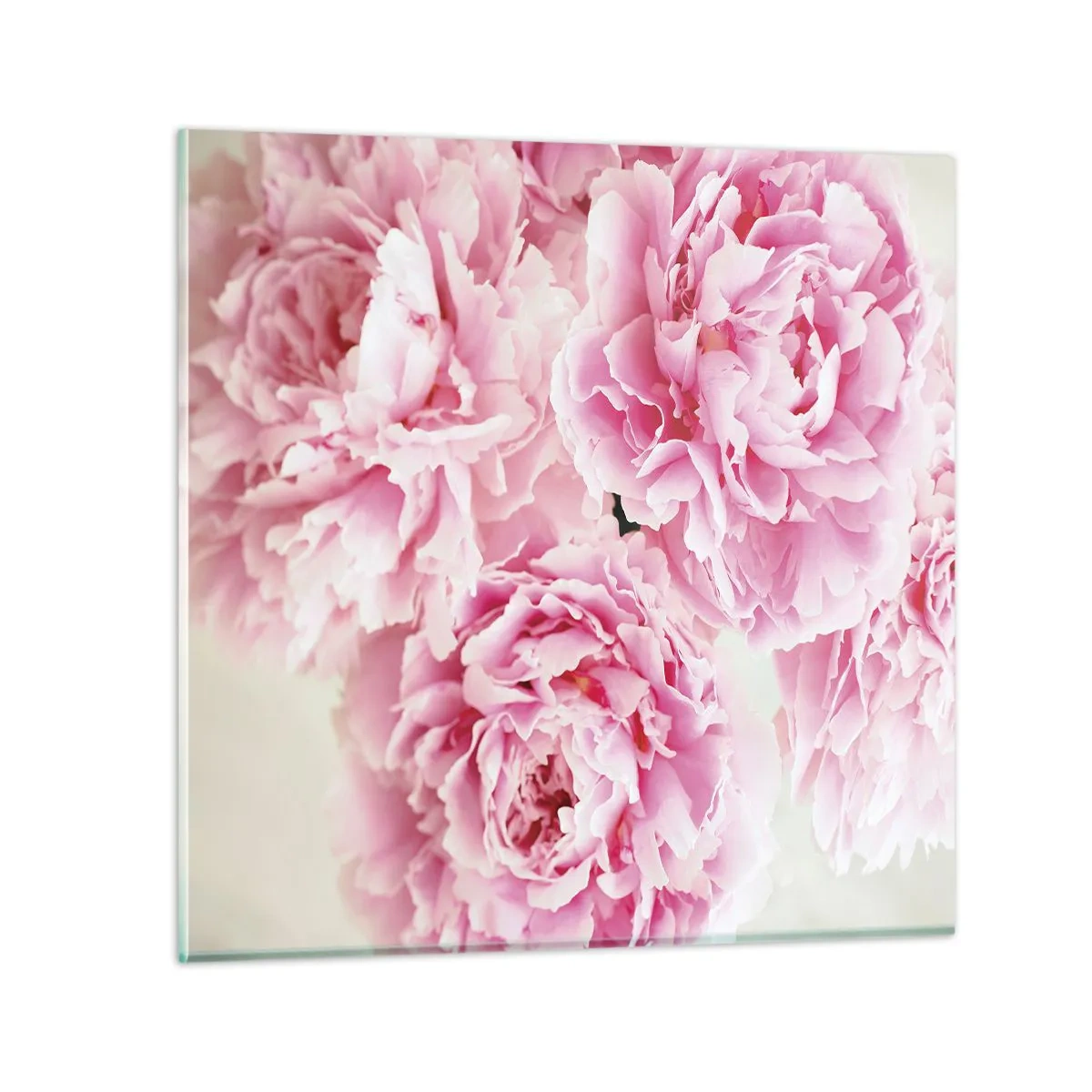 Cuadro sobre vidrio - Impresiones sobre Vidrio - En el esplendor del rosa - 30x30 cm