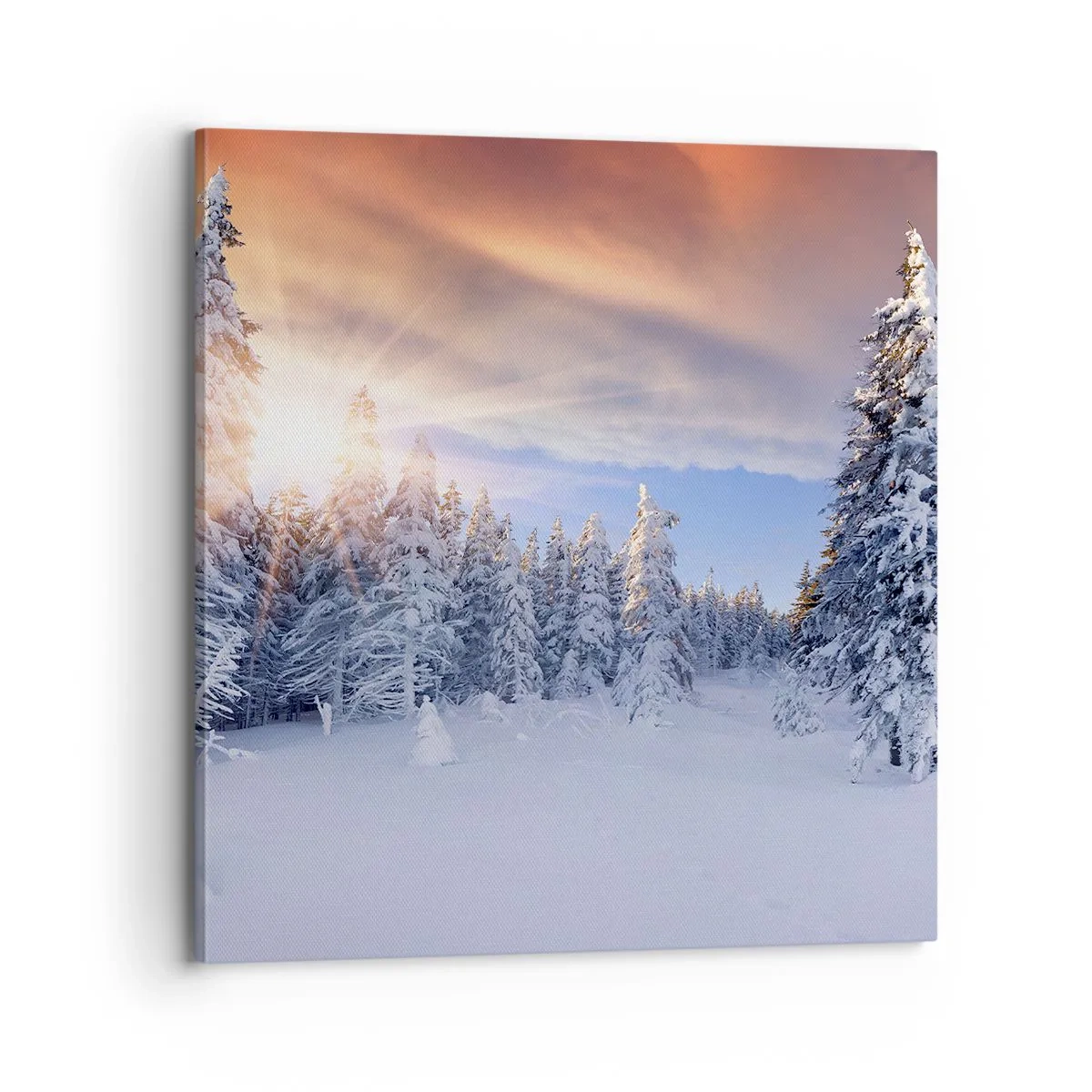 Cuadro sobre lienzo - Impresión de Imagen - Un espectáculo de naturaleza nevada - 70x70 cm