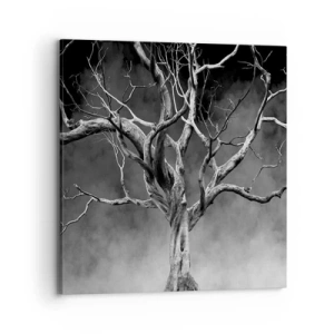 Cuadro sobre lienzo - Impresión de Imagen - Primordial y sagrado - 70x70 cm