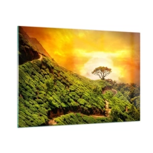 Cuadro sobre vidrio - Impresiones sobre Vidrio - Colinas verdes con un árbol solitario al atardecer - 100x70cm - Por un camino sinuoso, por una verde pendiente - Decoración de pared moderna para salón y dormitorio ARTTOR
