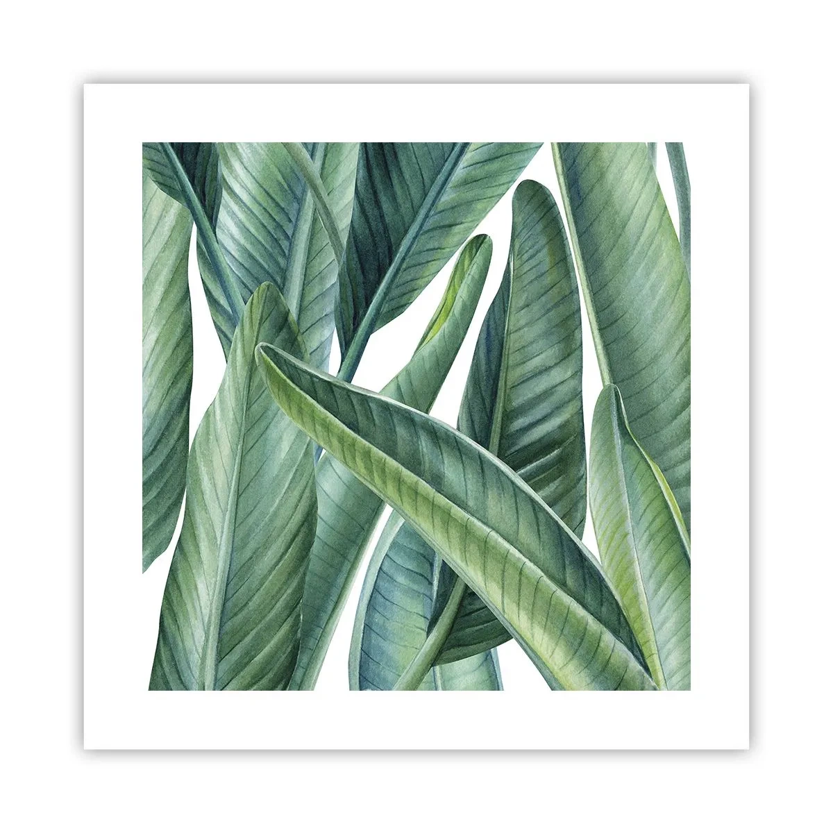 Póster - Vegetación en estado puro - 40x40 cm