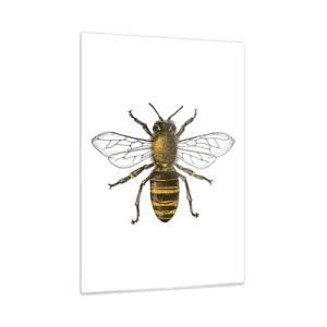 Cuadro sobre vidrio - Impresiones sobre Vidrio - Ilustración detallada de una abeja sobre un fondo blanco. - 50x70cm - Bondad natural - Decoración de pared moderna para salón y dormitorio ARTTOR