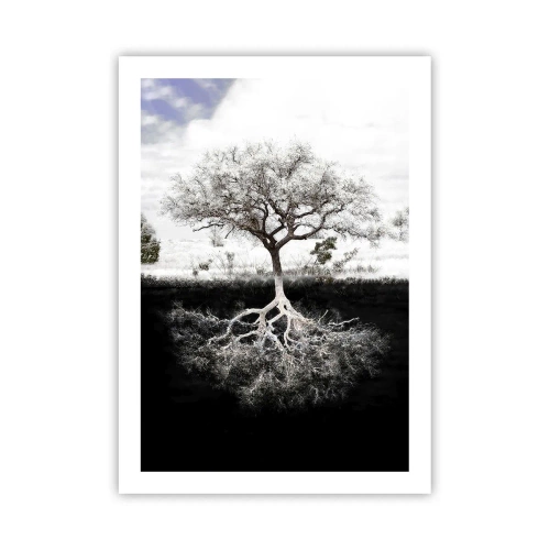 Póster - Un árbol minimalista con un sistema de raíces visible. - 50x70cm - Descubrir la naturaleza del mundo - Decoración de pared moderna para salón y dormitorio ARTTOR